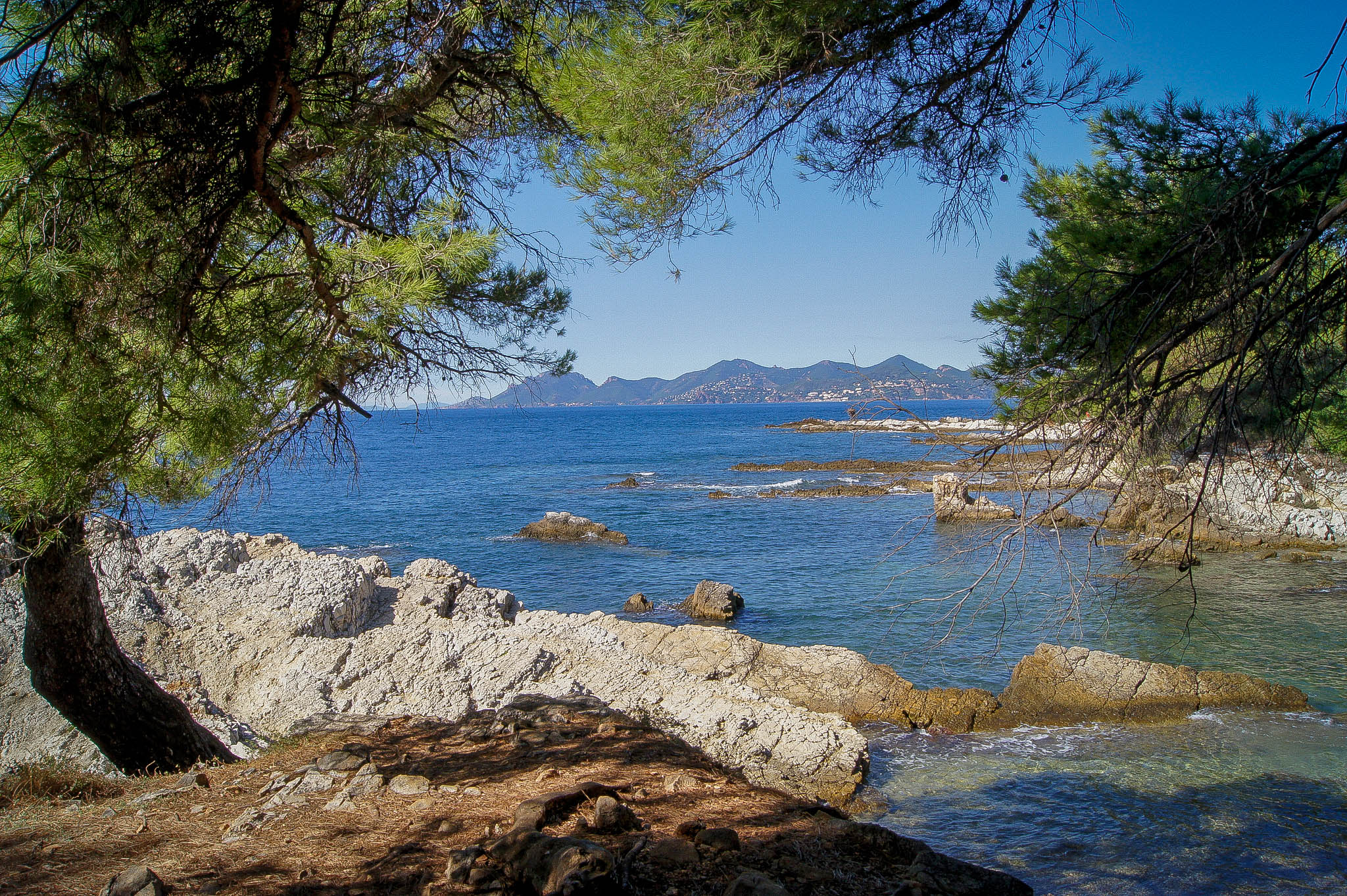 Entre plage et forêt Entre plage et forêt