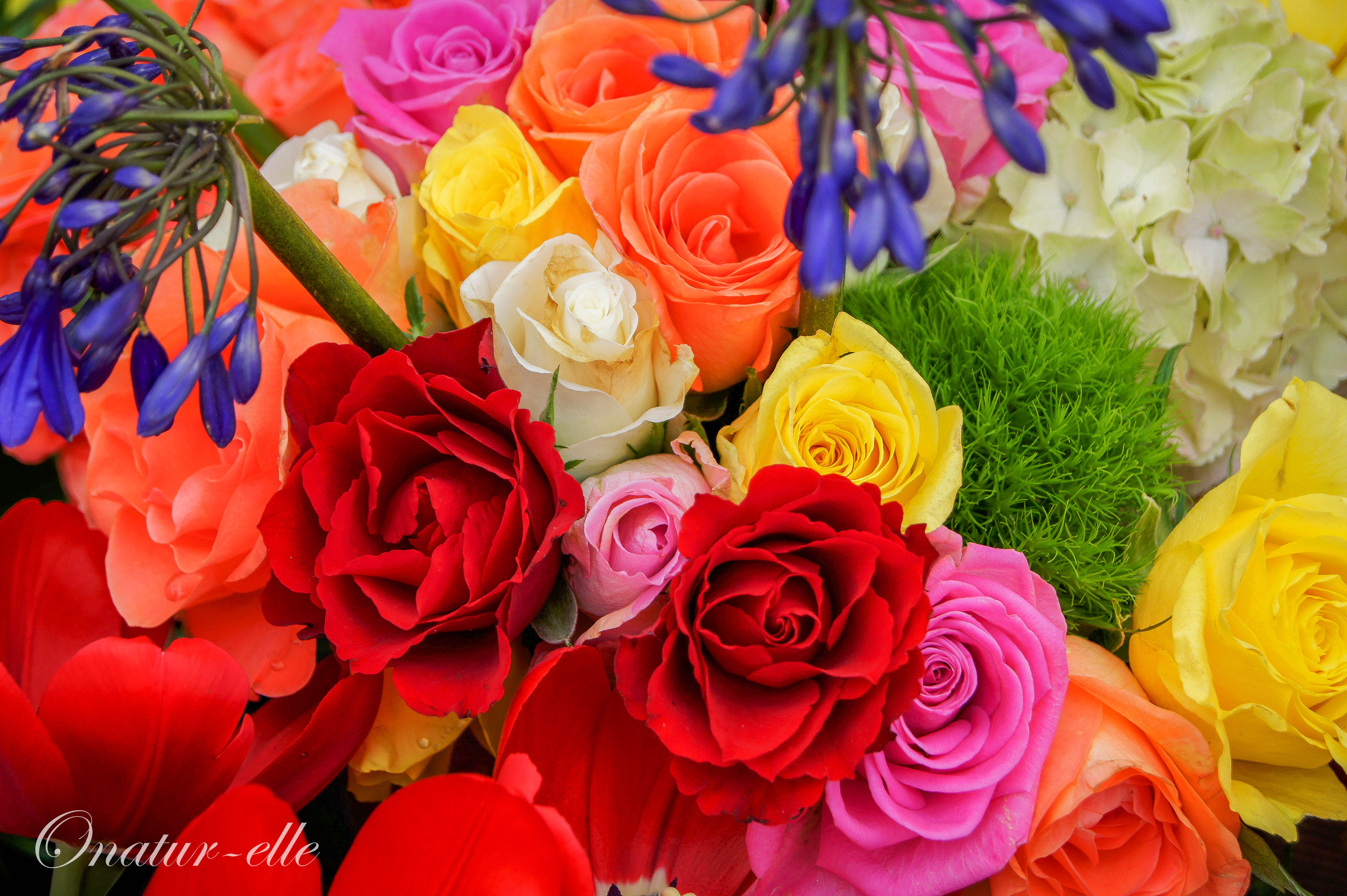 Composition florale (7) Composition florale (7)
