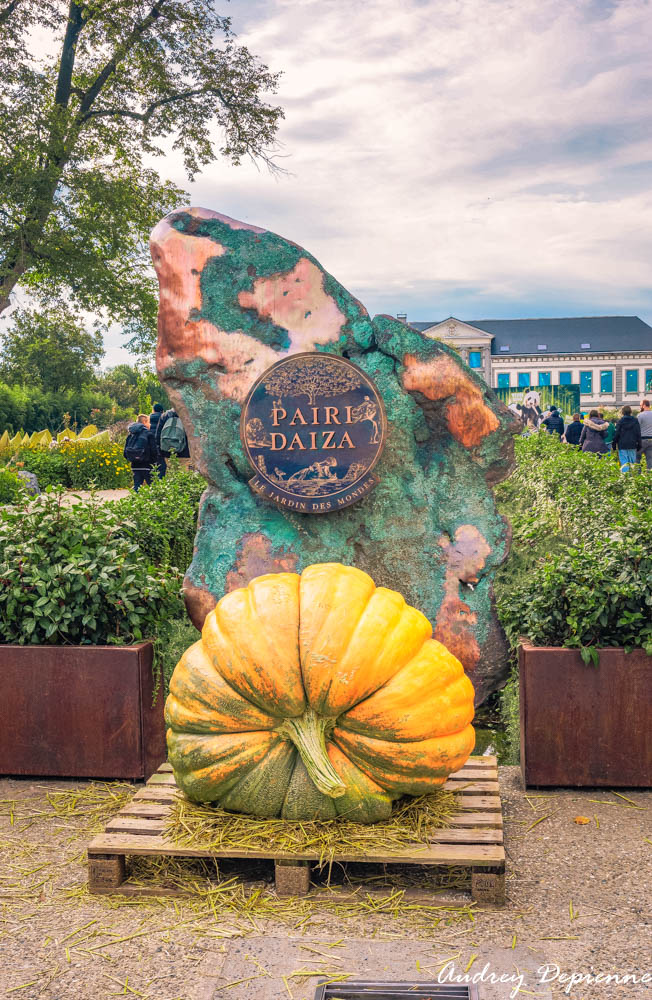 Pairi Daiza Octobre 2024