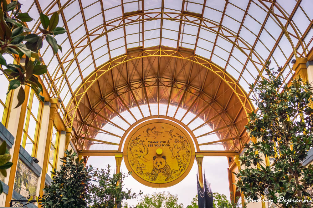 Pairi Daiza Octobre 2024