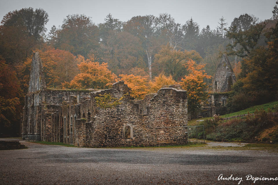 Abbaye de Villers (6)