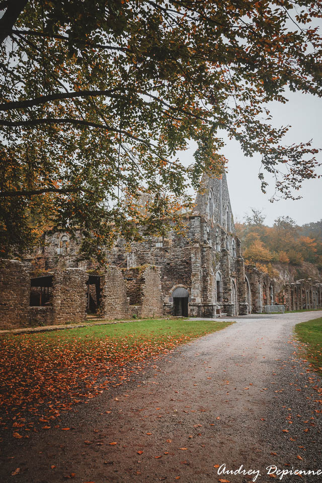 Abbaye de Villers (7)