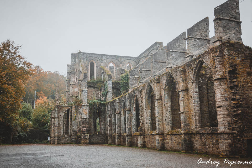 Abbaye de Villers (8)