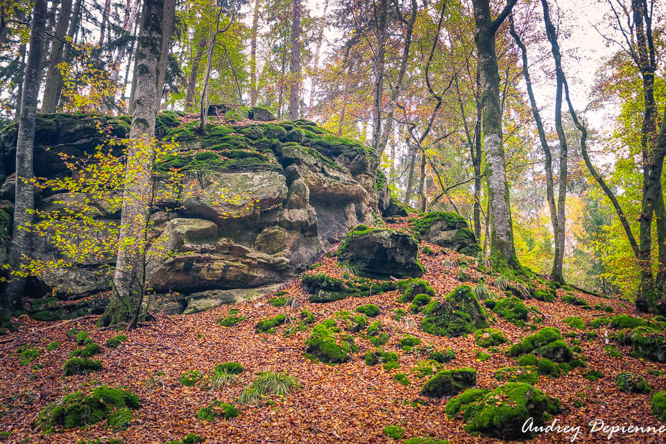 Mullerthal W7
