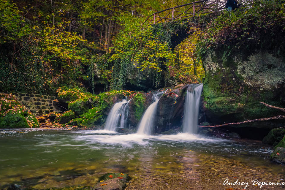 Mullerthal W7 (2)