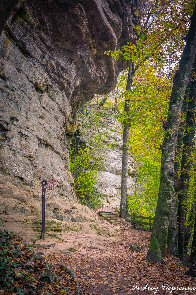 Mullerthal W7 (4)