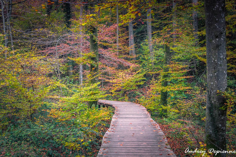 Mullerthal W7 (8)