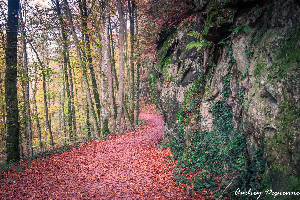 Mullerthal W7 (12)