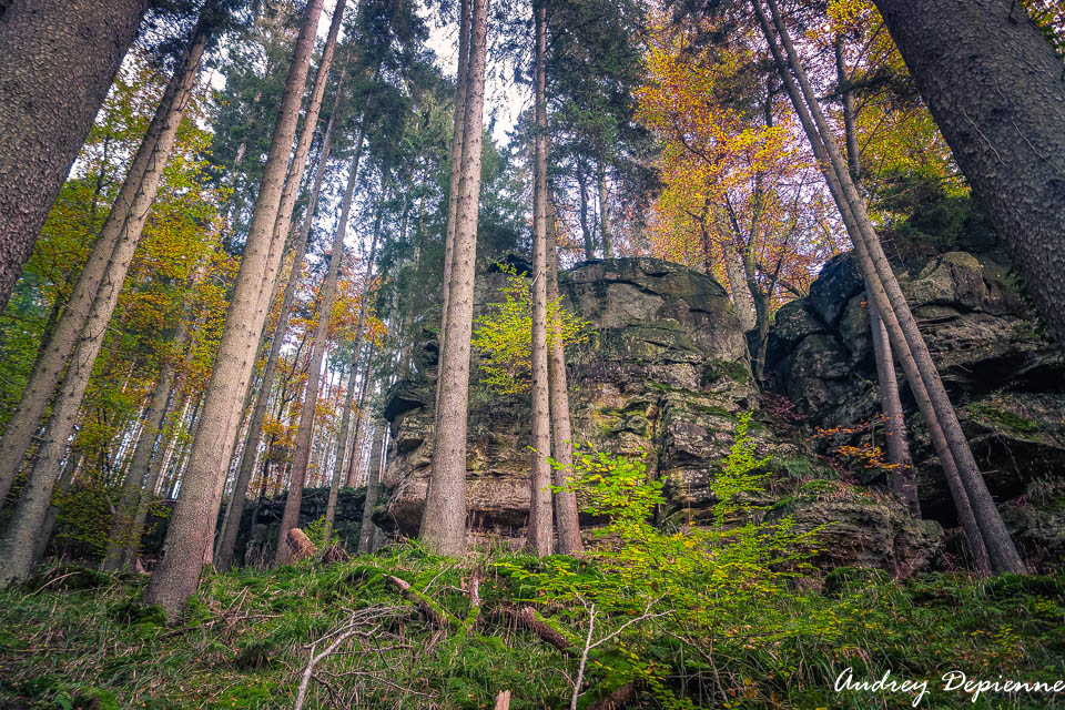 Mullerthal W7 (13)