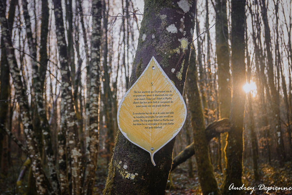 Sentier des Minuscules (4)
