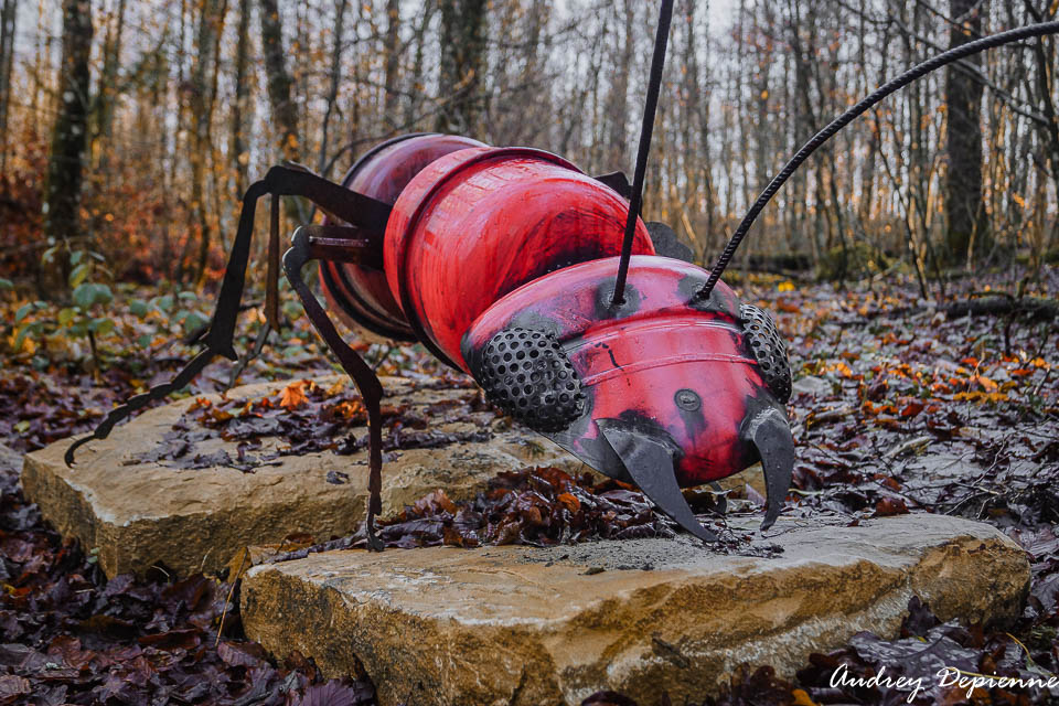 Sentier des Minuscules (5)