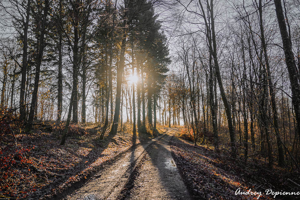 Sentier des Minuscules (6)
