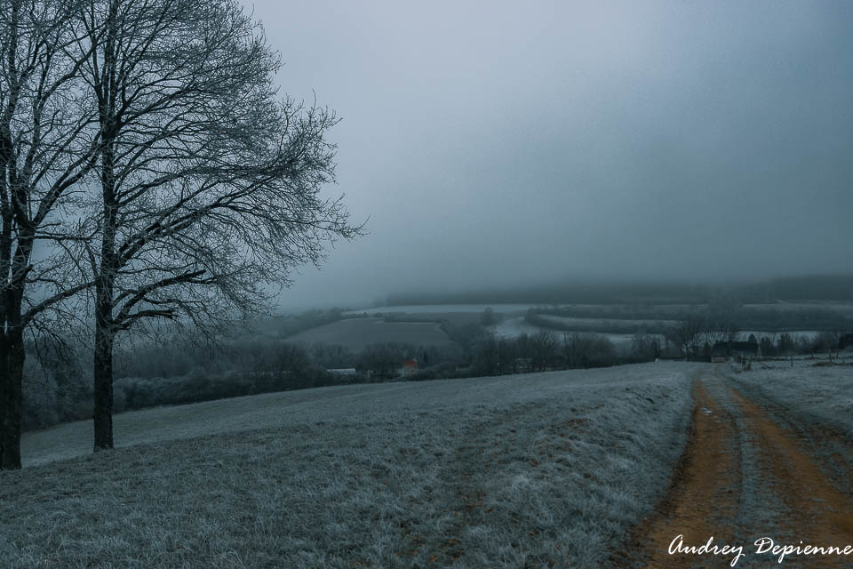 Paysage glacial