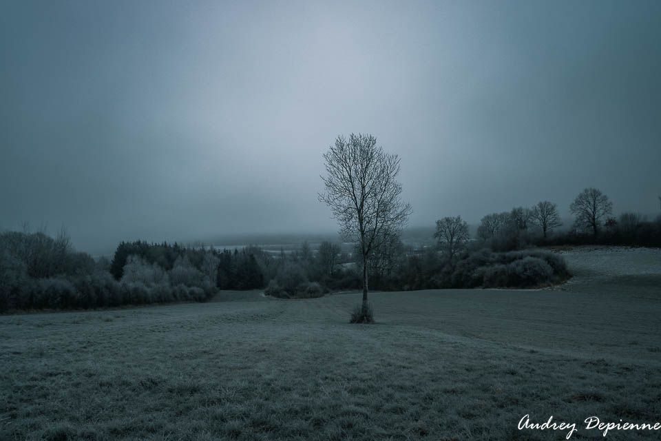 Paysage glacial (2)