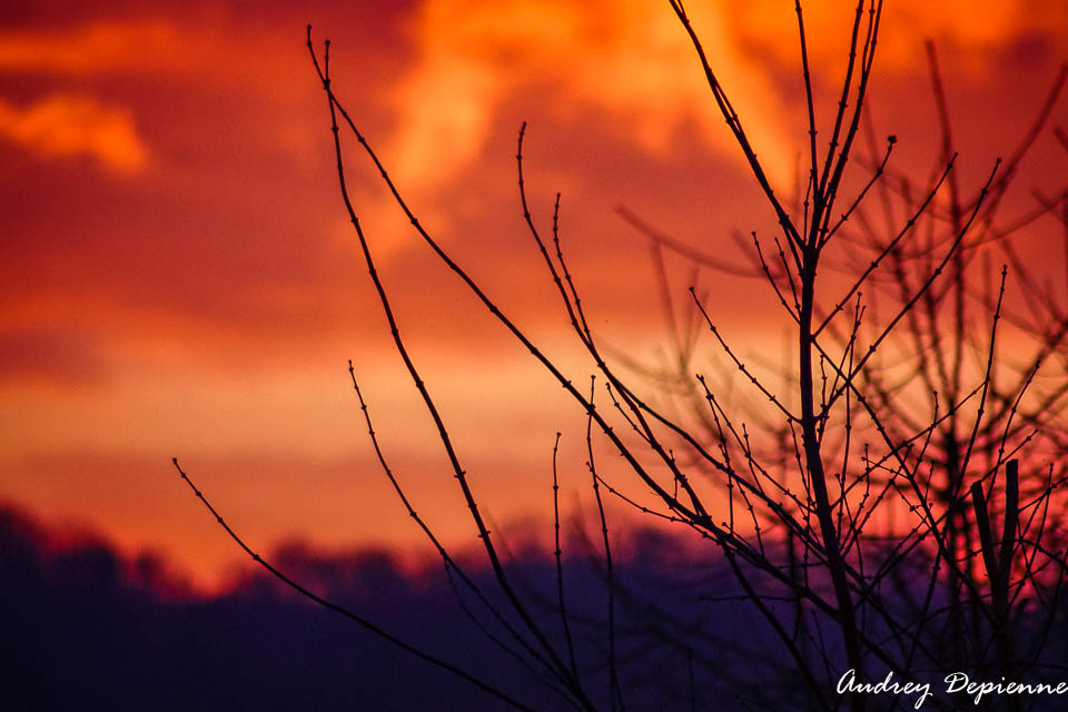 Le ciel s’embrase (2)