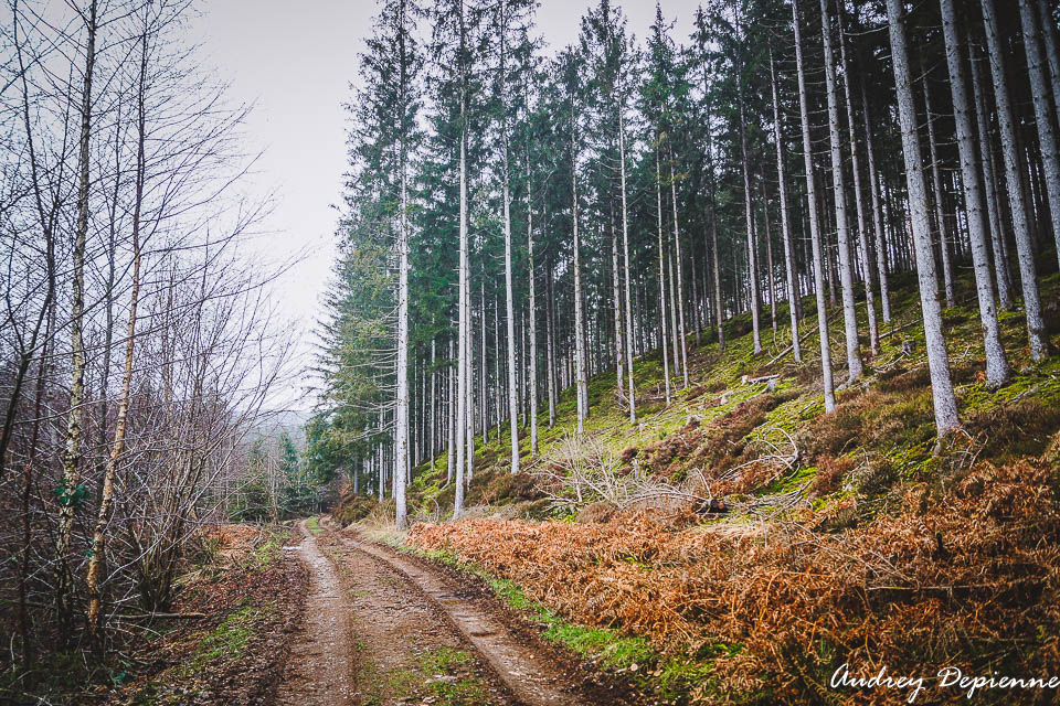 La Roche à l’appel