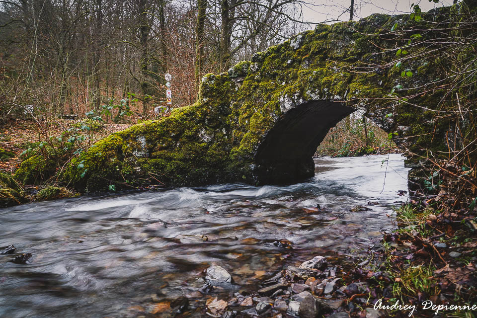 La Roche à l’appel (4)