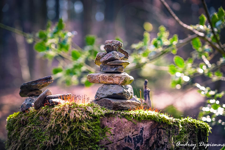 La Sawe – Solwaster (6)