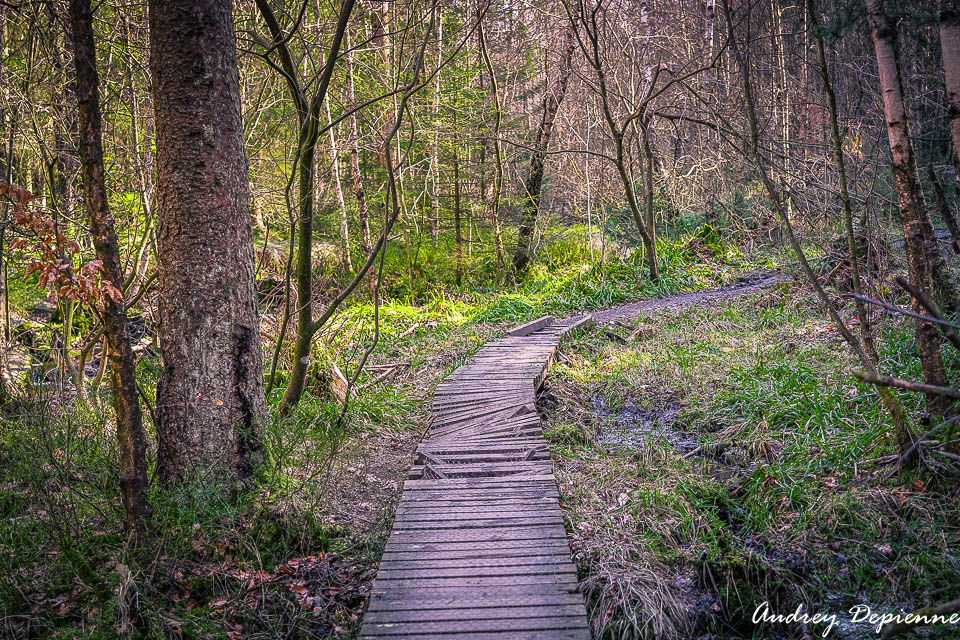 La Sawe – Solwaster (8)