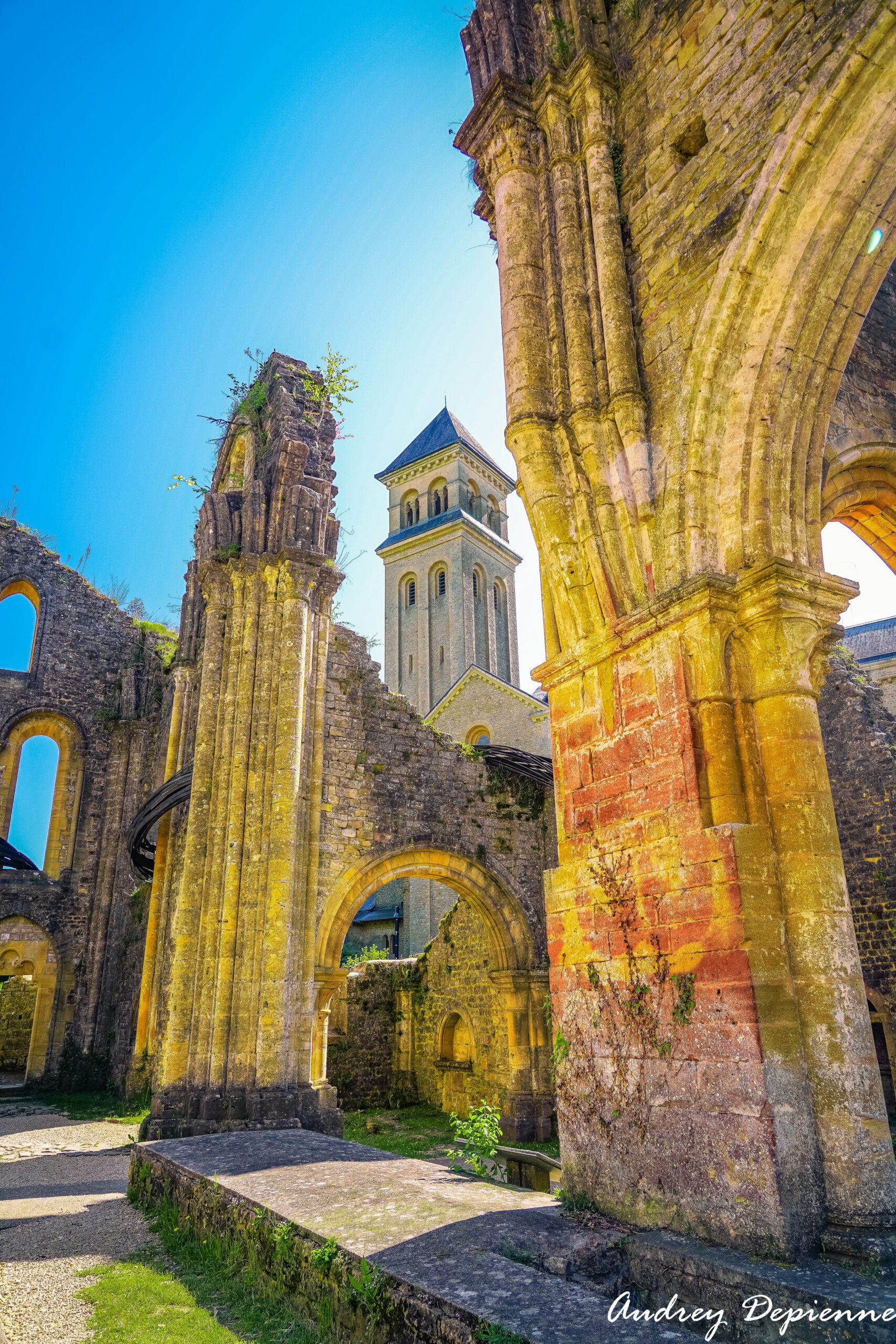 Balade à l’Abbaye (3)