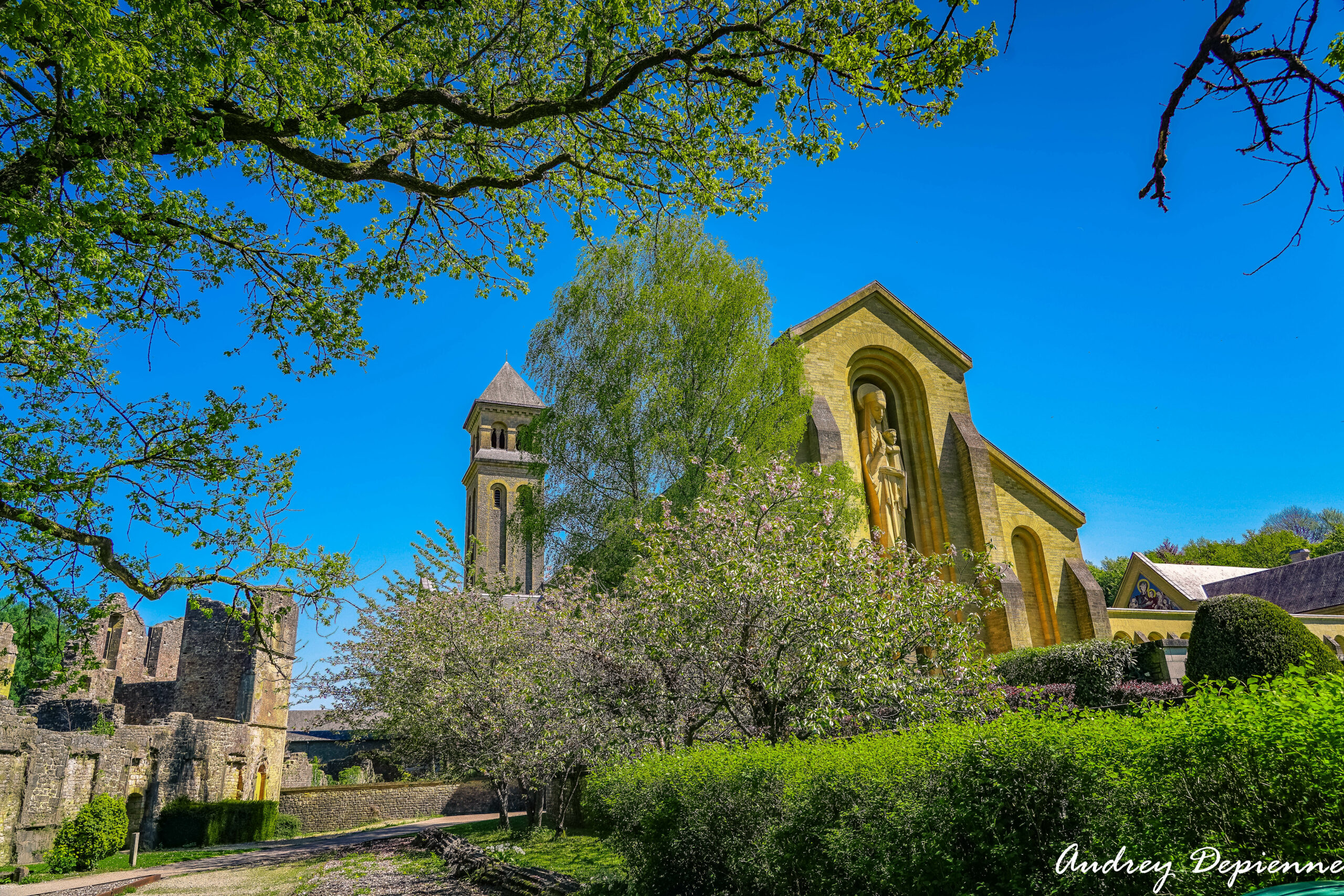 Balade à l’Abbaye (9)