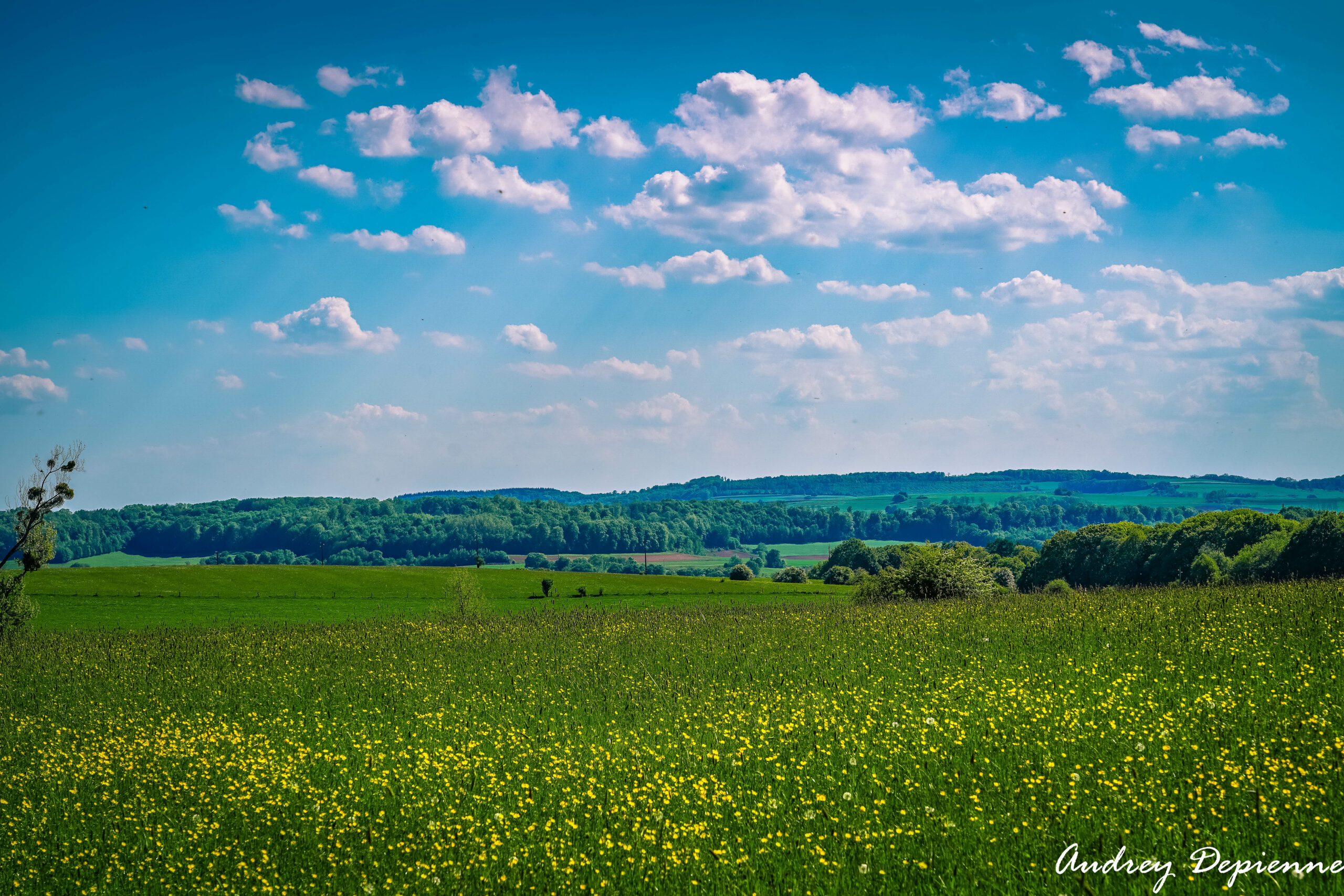Orval (2)