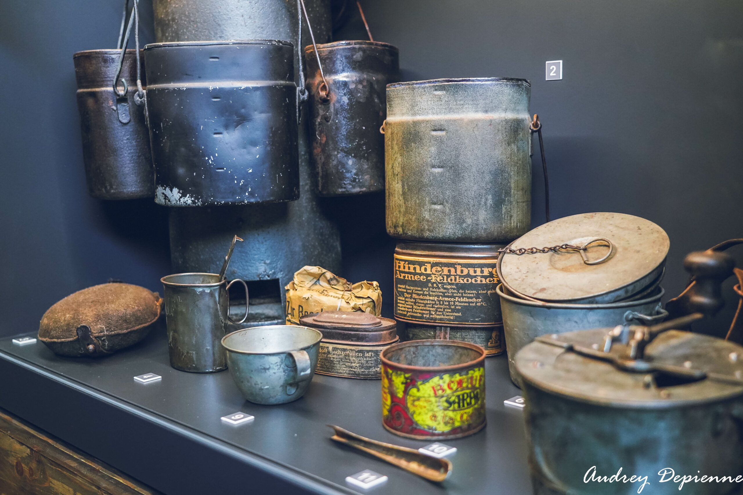 Musée Guerre et Paix (7)