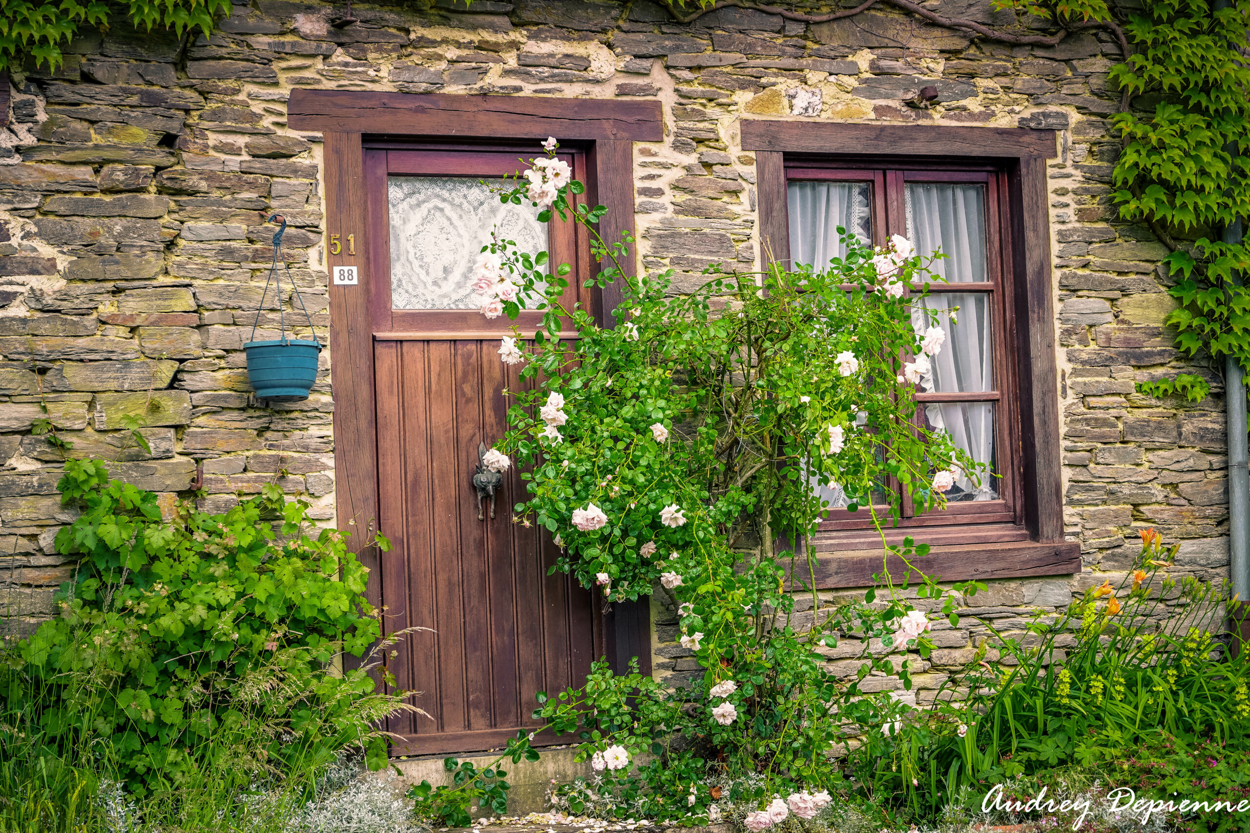 Village de La Forêt (2)