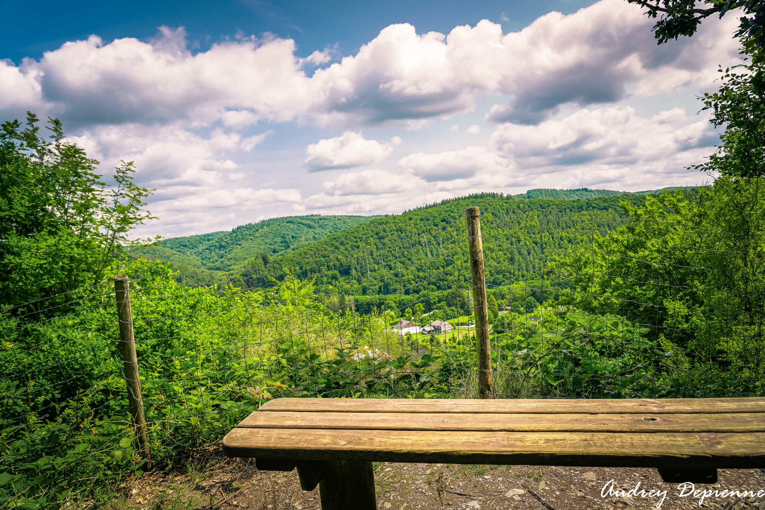 Vue sur Vresse sur Semois