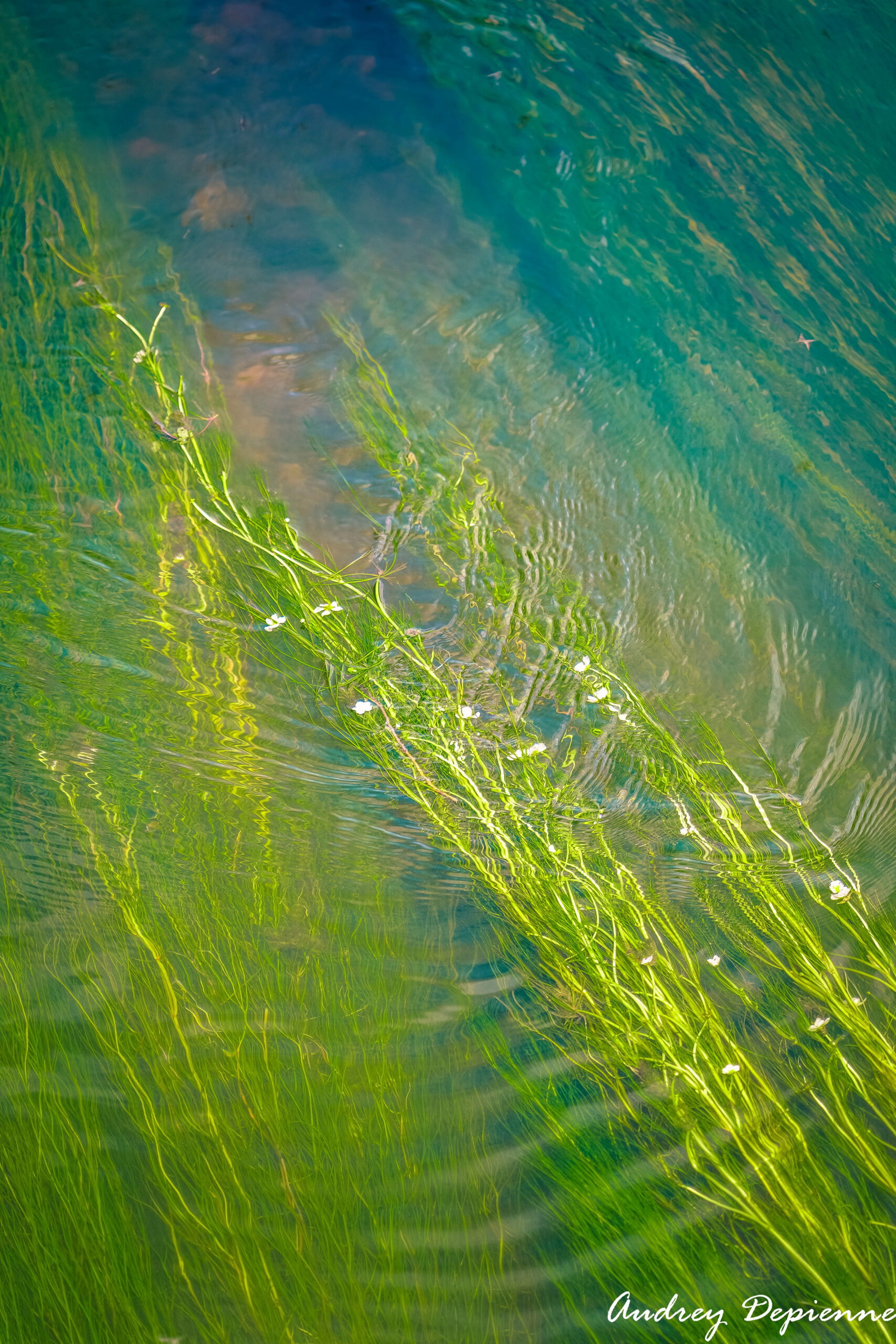 L’eau comme peinture