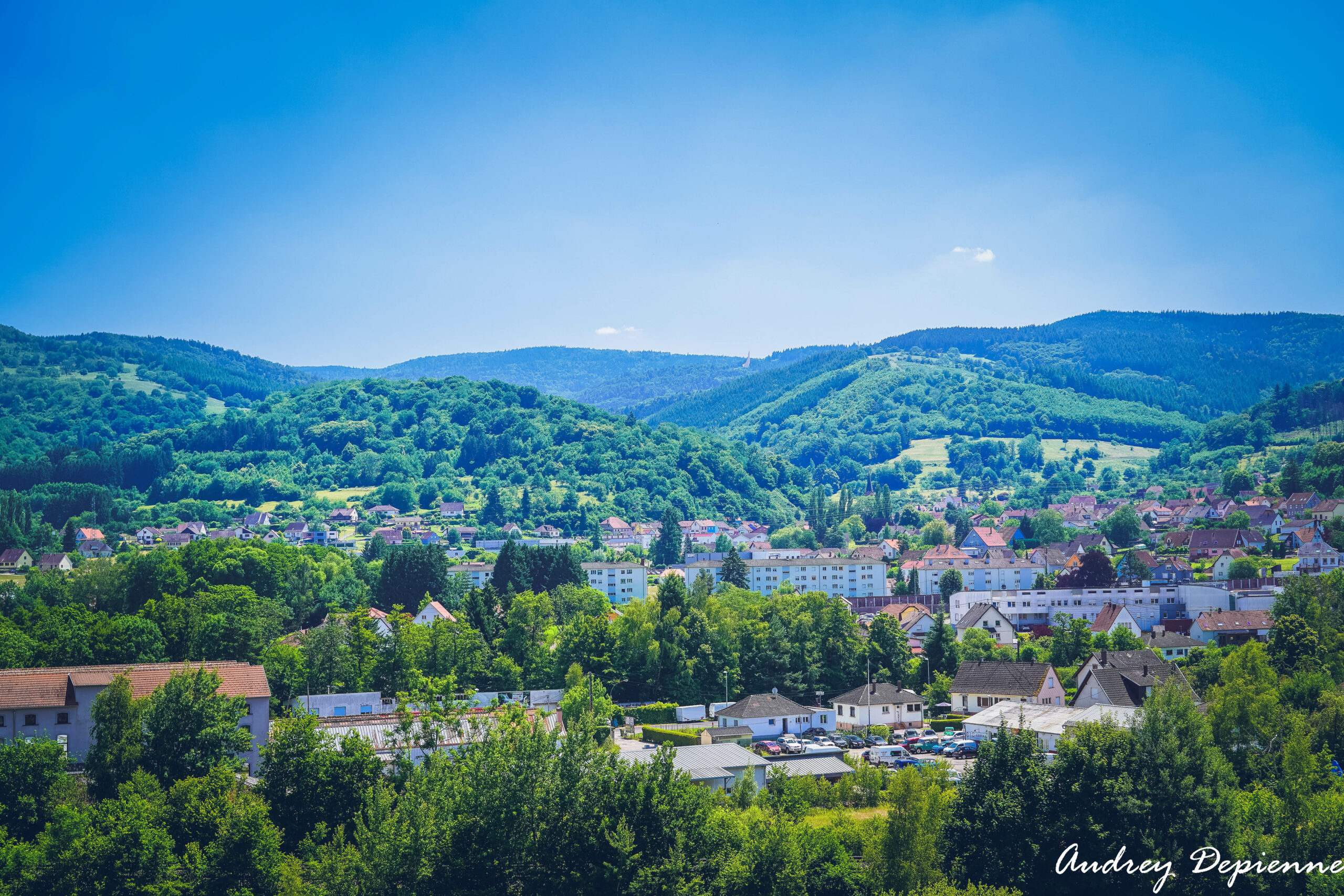 Mémorial Alsace-Moselle (3)