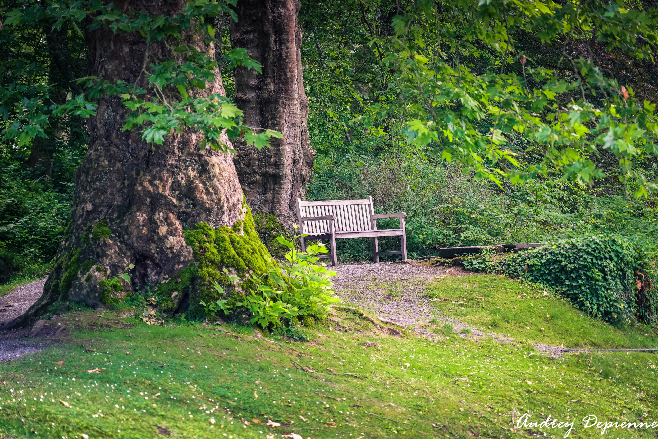 Balade au milieu des Jardins (2)