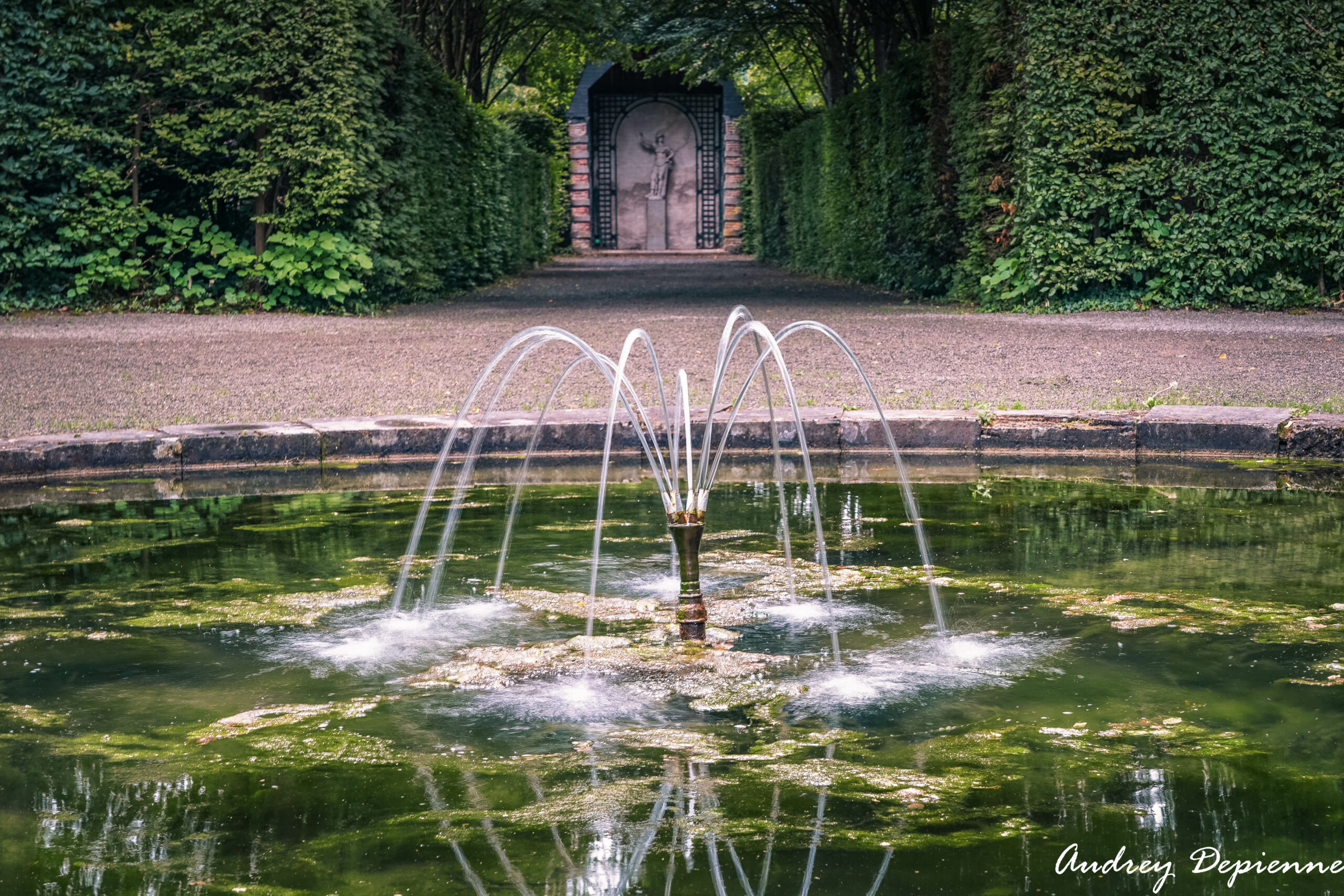 Balade au milieu des Jardins (6)